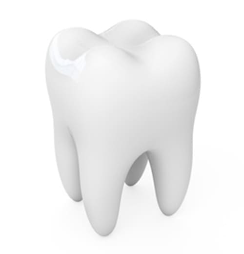 大人のための予防歯科